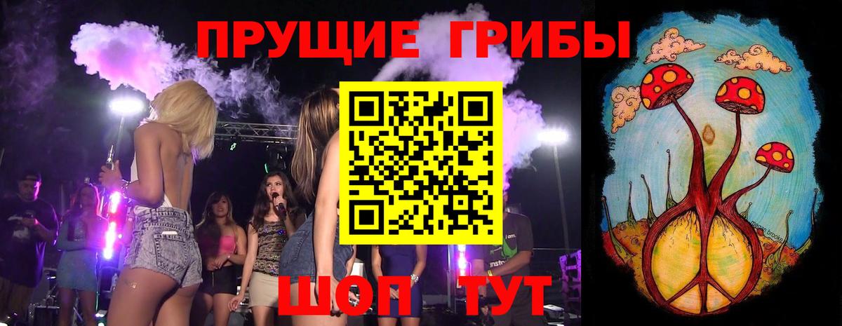 Каменка  Псилоцибиновые грибы ЛСД  Вход с VPN  Галлюциногенные грибы GOLDEN TEACHER 