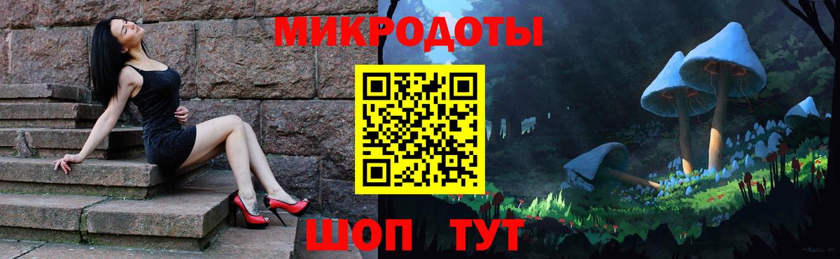 Псилоцибиновые грибы MAGIC MUSHROOMS Каменка