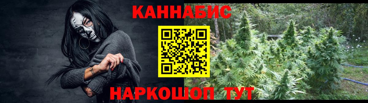 Каннабис планчик  Бошки Шишки планчик  Каннабис Bruce Banner  Конопля THC 21%  Вход с VPN  Каменка 
